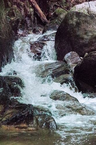 e0176993_10211628.jpg
