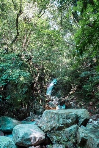 e0176993_10211649.jpg