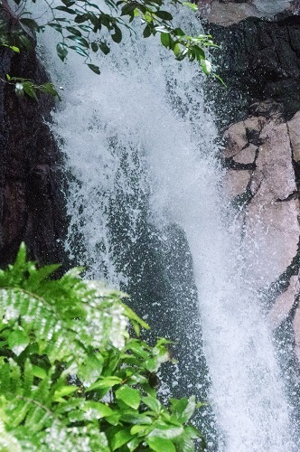 e0176993_10220081.jpg