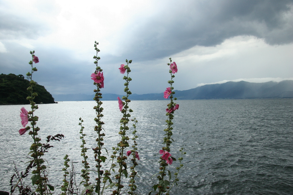 b0155395_131010.jpg