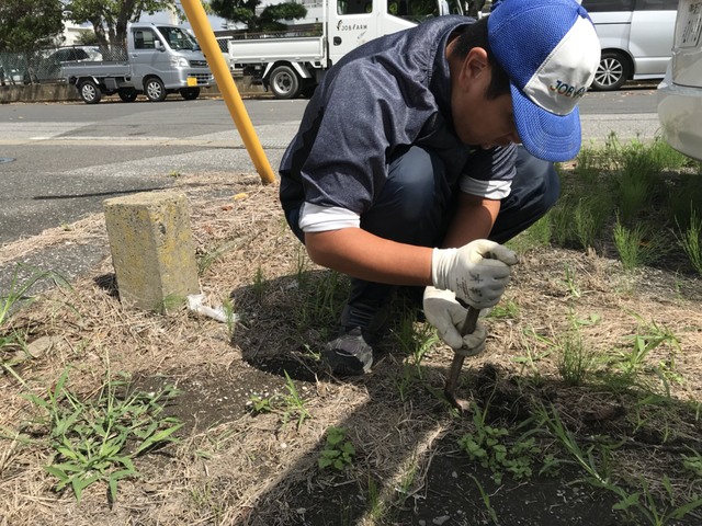 地福・農福連携請負作業・イチゴのメンテナンス_e0270198_16531397.jpg