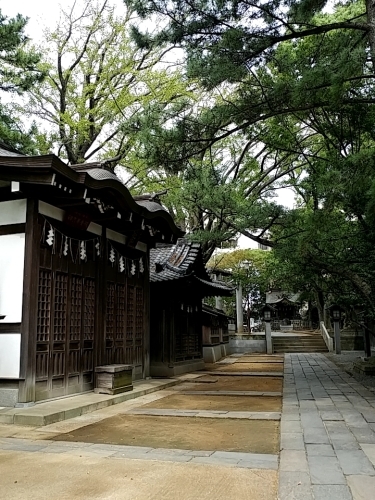 a0351700_20581490.jpg