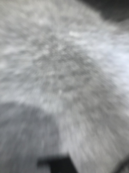 b0127002_13464068.jpeg
