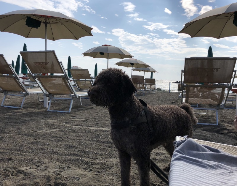 Bagno Overbeach バンニョ オーバービーチ🏖_b0246303_05571729.jpg