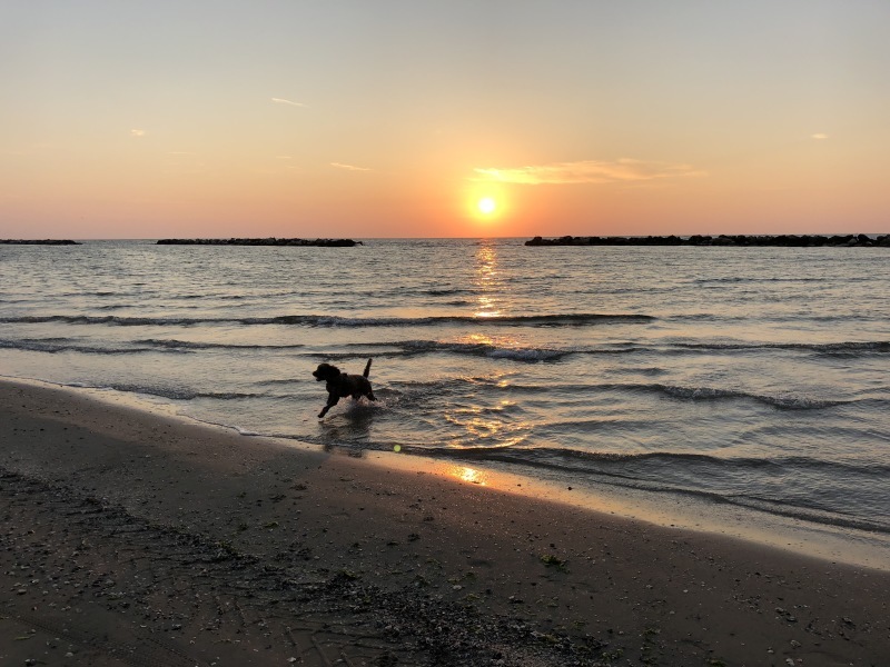 アドリア海の朝日&#127749; 2018 夏_b0246303_06015918.jpg