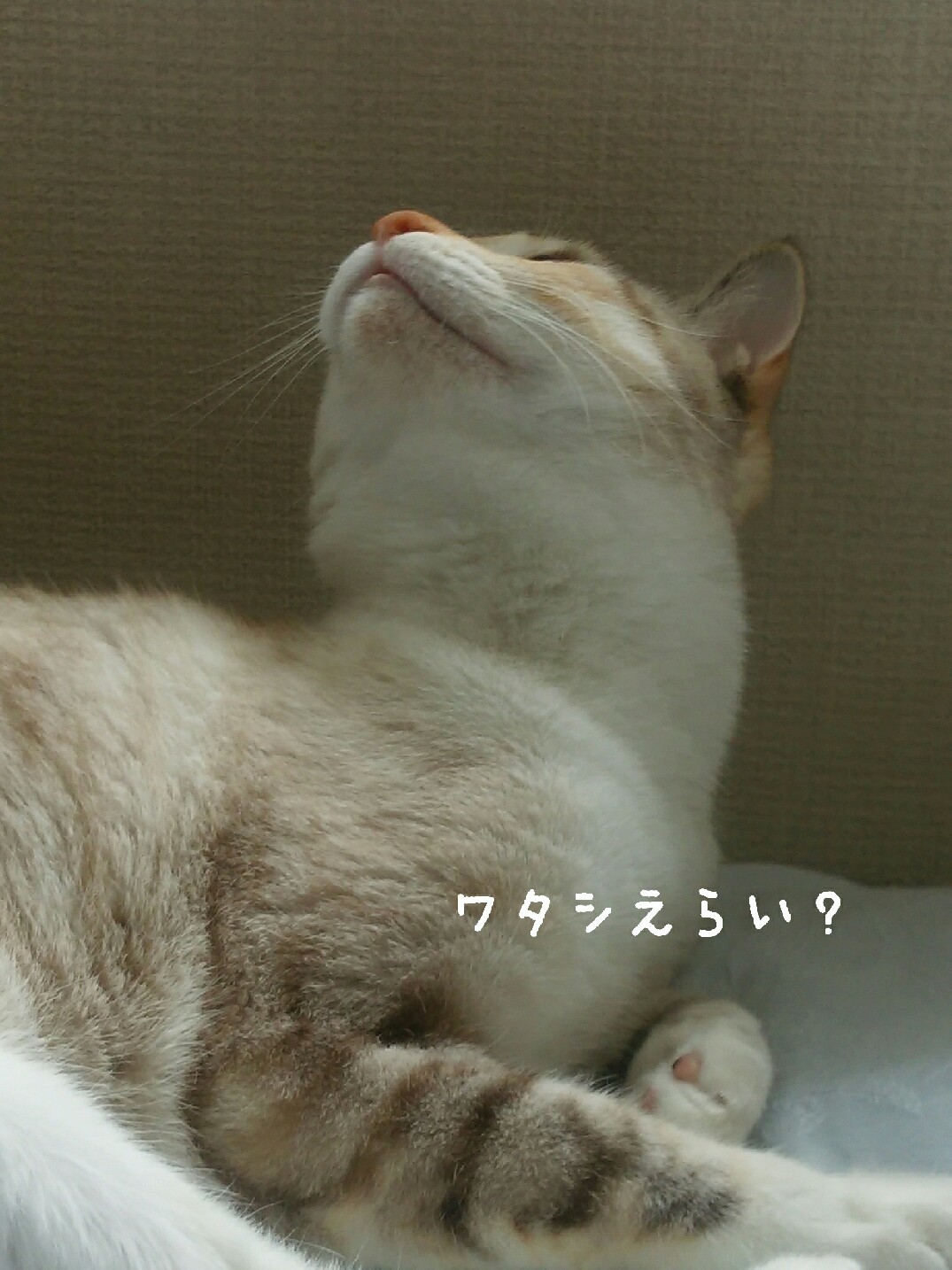f0255704_19560932.jpg