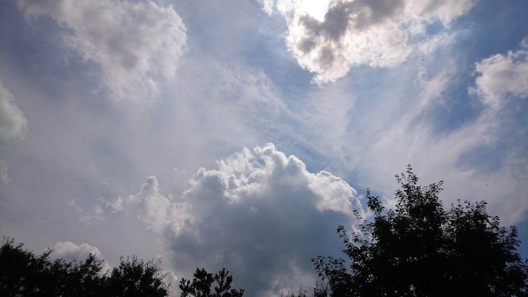 f0324510_21222046.jpg