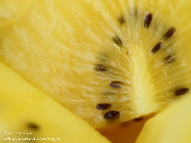 c0274618_17070845.jpg