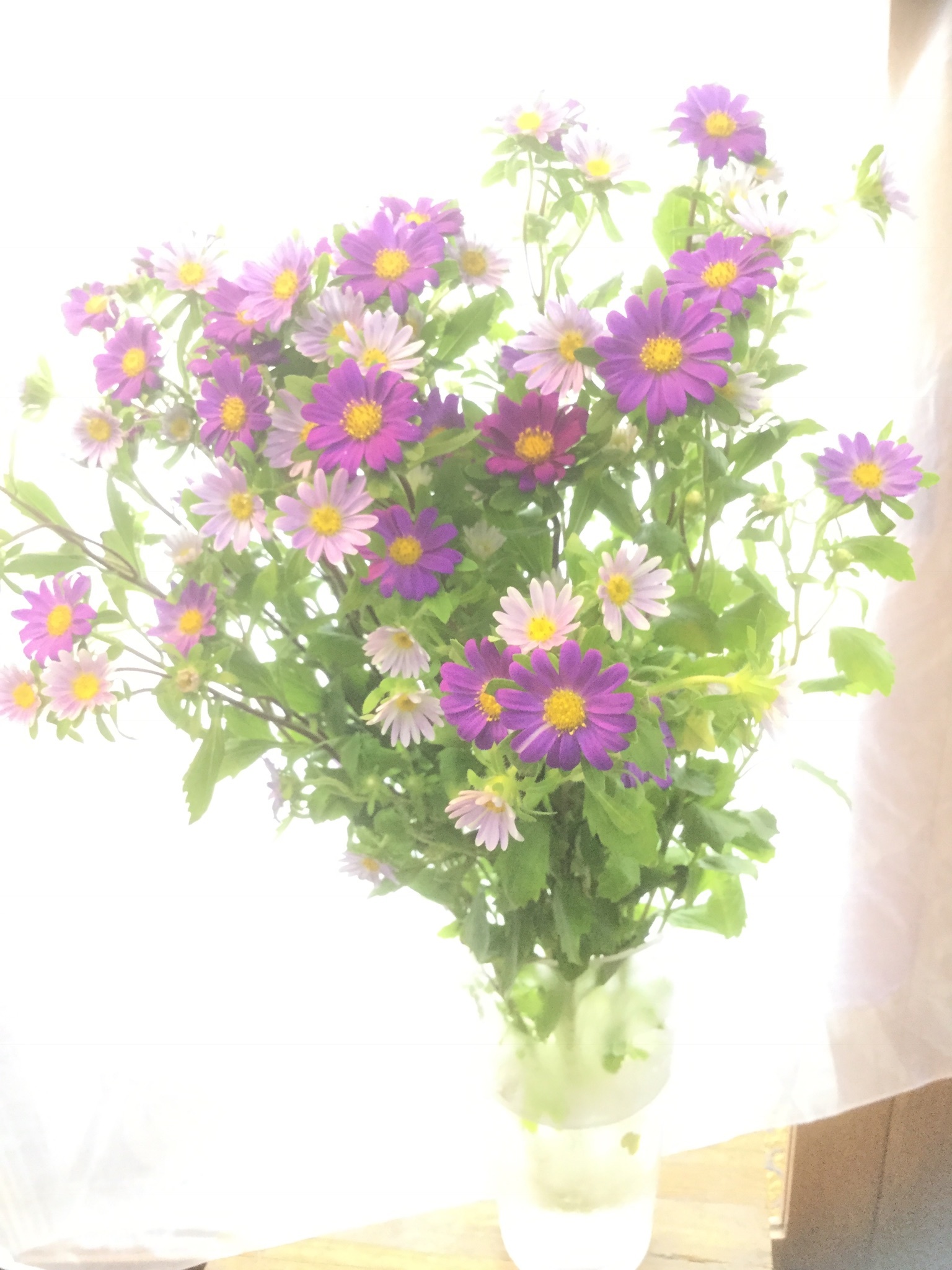 秋の花 アスター をナチュラルに活ける ルーシュの花仕事