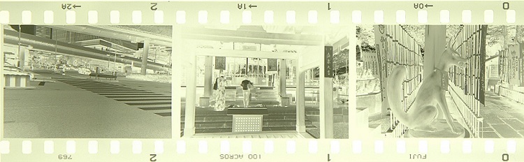 c0381632_17270446.jpg