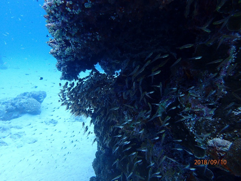 e0062639_07111080.jpg