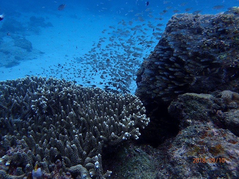 e0062639_07112841.jpg