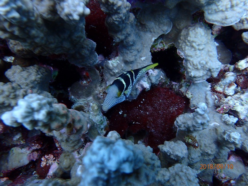 e0062639_07120808.jpg