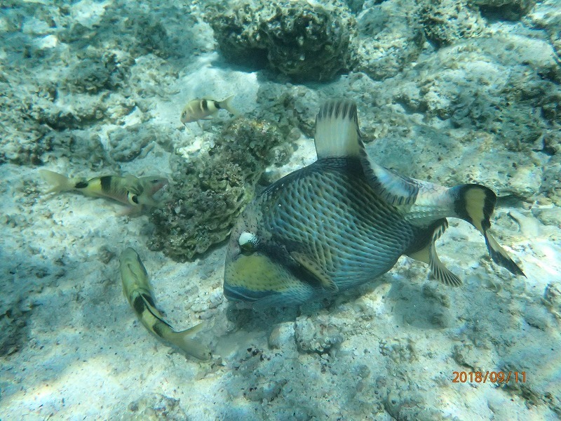 e0062639_07141748.jpg