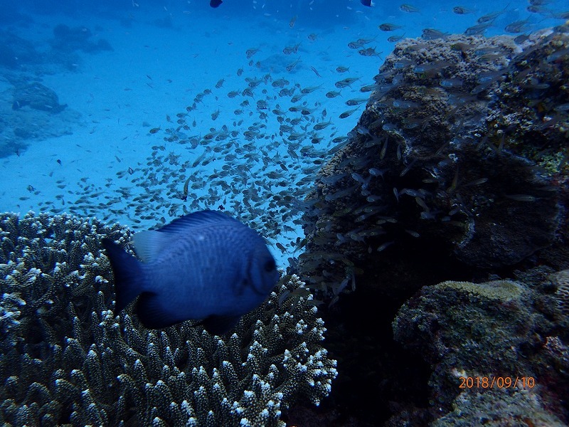 e0062639_07283610.jpg