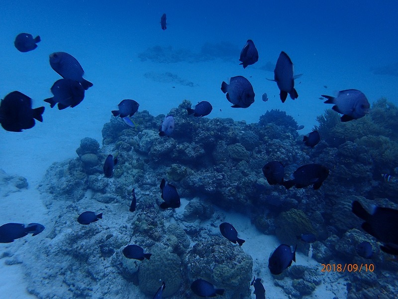 e0062639_07290236.jpg