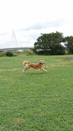 a0329943_18194740.png