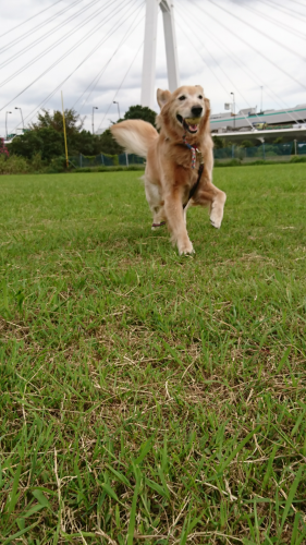 a0329943_18252039.png