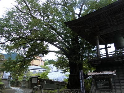 f0019247_21105811.jpg