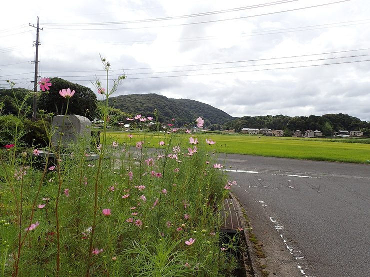 f0214649_03271937.jpg