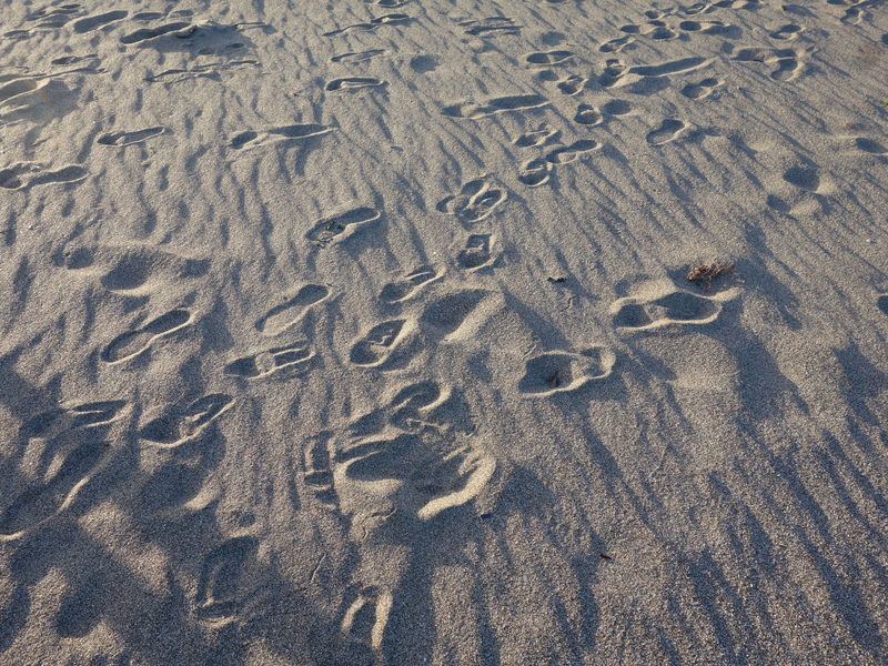 f0291154_234326.jpg
