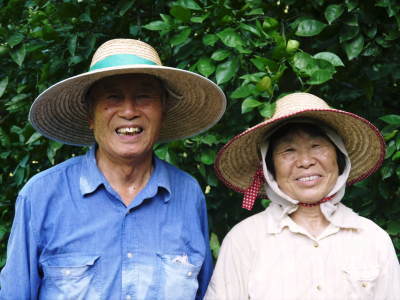 種なしかぼす 無農薬栽培で朝採り、即日発送!今ならあまりお待たせすることなく発送できます!!_a0254656_17480817.jpg