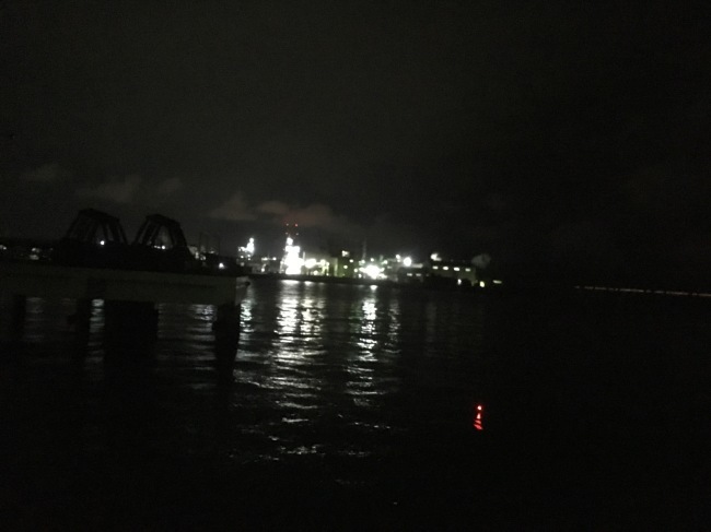 e0187064_16425084.jpeg