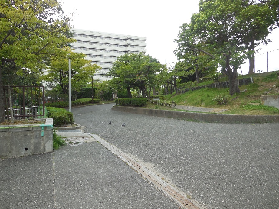 f0150767_14200287.jpg