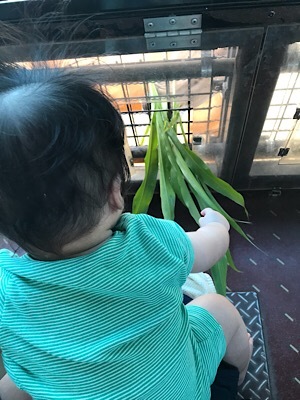 b0197576_06154166.jpeg