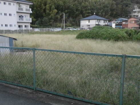 f0252578_10364171.jpeg