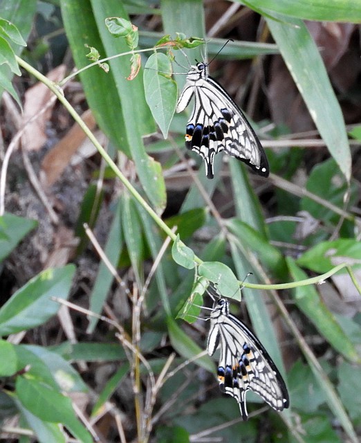 f0378979_08004861.jpg