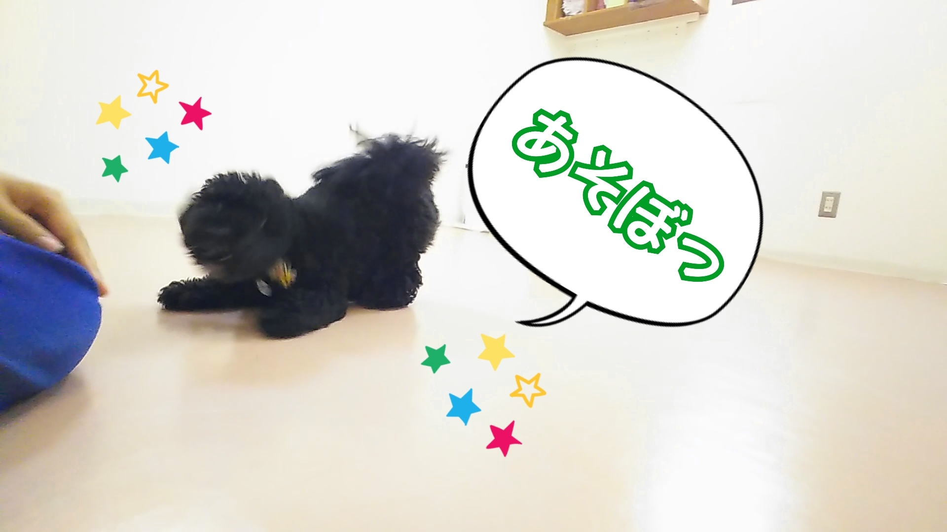 あっそぼ🎶あっそぼ🎶_f0357682_11521192.jpg