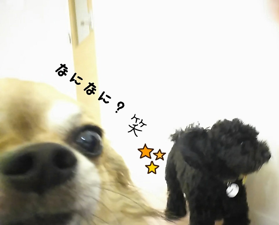 あっそぼ🎶あっそぼ🎶_f0357682_11523337.jpg