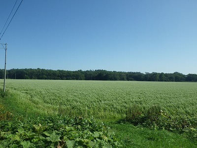 d0297685_15140363.jpg