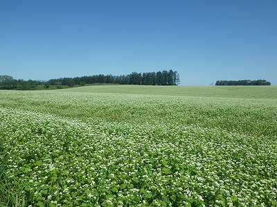 d0297685_15144445.jpg