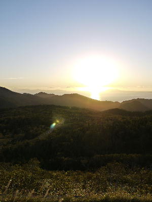 c0171889_1662295.jpg