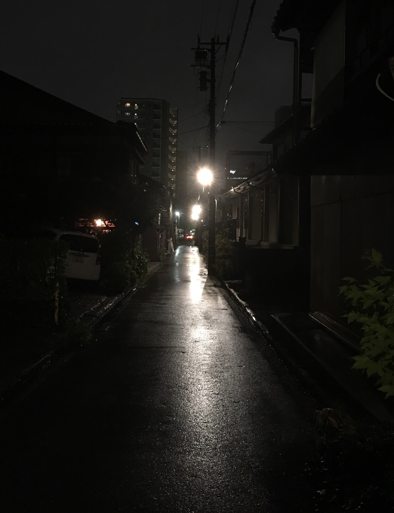 e0362689_21400727.jpeg