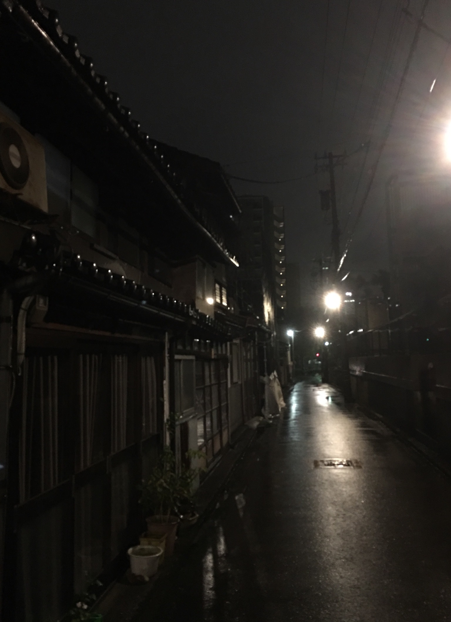 e0362689_21402037.jpeg