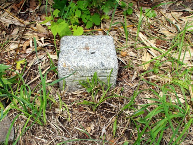 a0345007_9302039.jpg