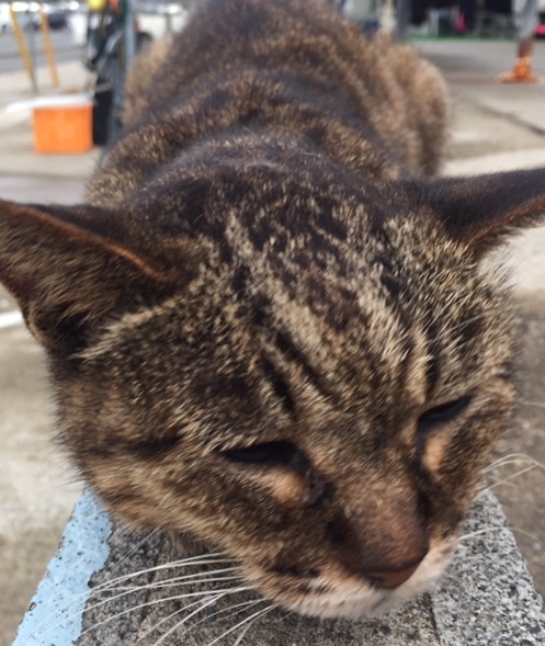 f0201818_20564665.jpeg