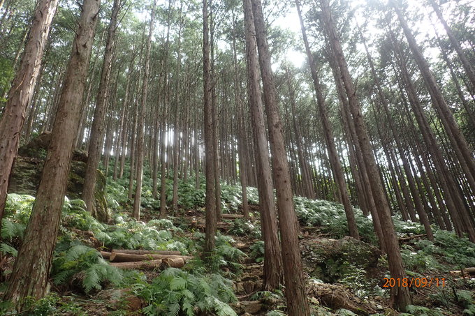 e0138321_10362822.jpg