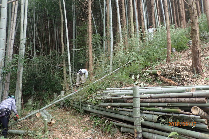 e0138321_10435978.jpg