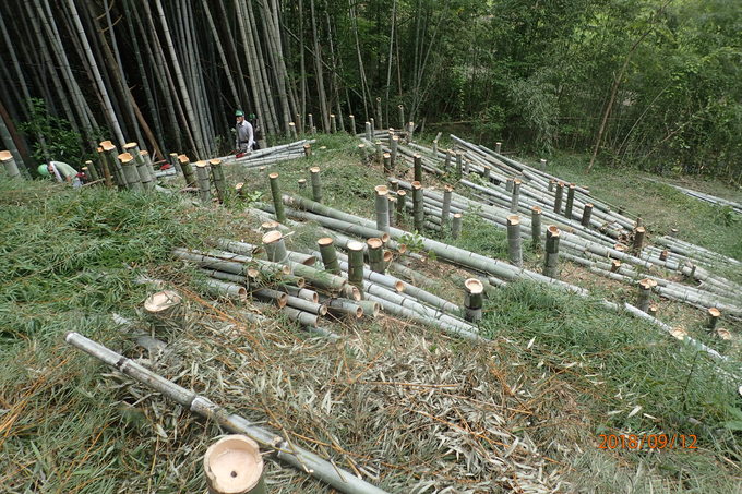 e0138321_10465076.jpg