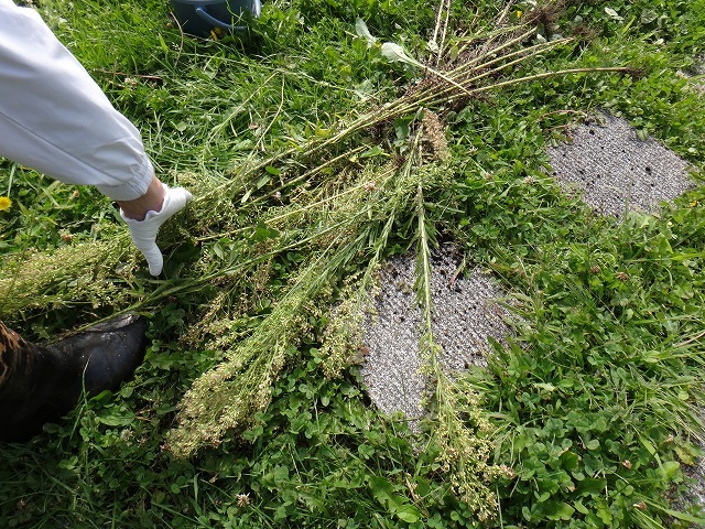 c0233141_16214603.jpg