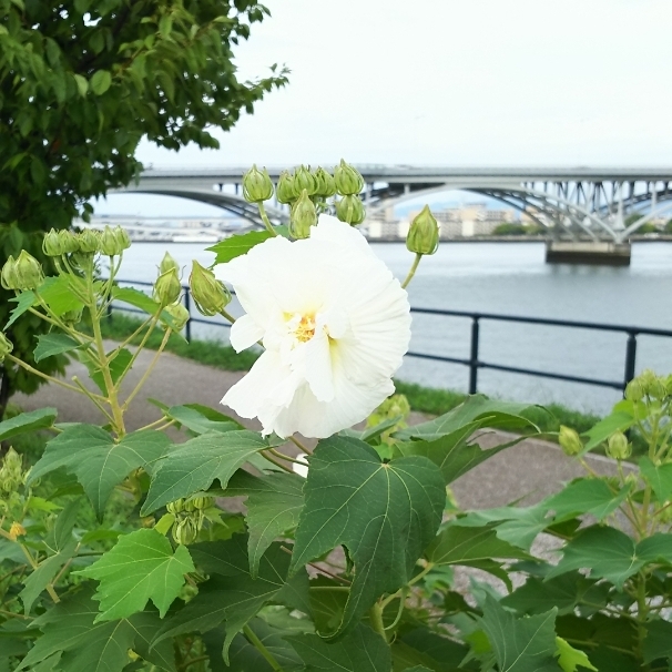 c0038742_14470667.jpg