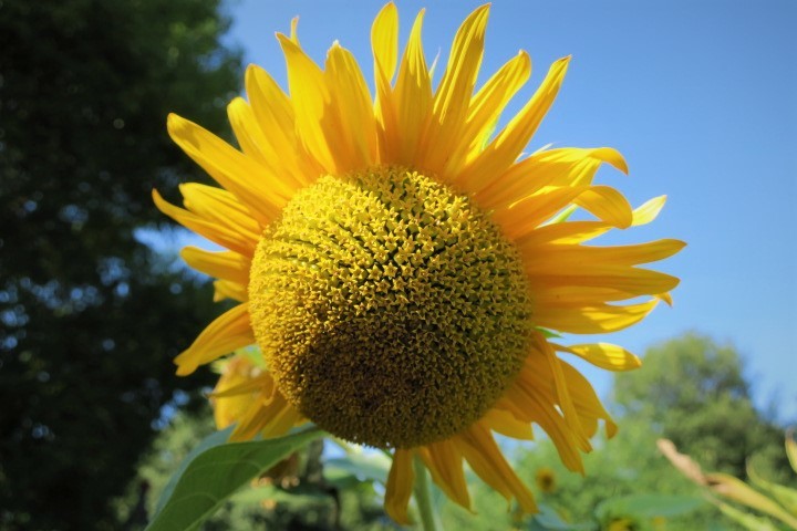 e0300042_17310795.jpg