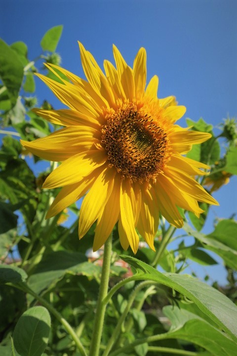 e0300042_17322461.jpg