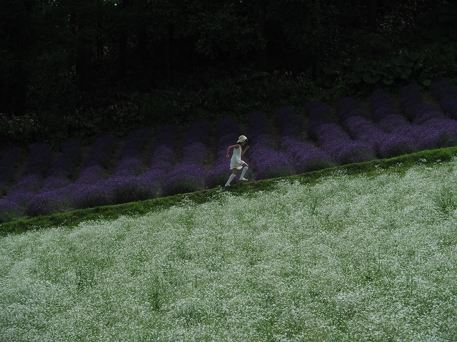 夢の中_f0288049_23045647.jpg