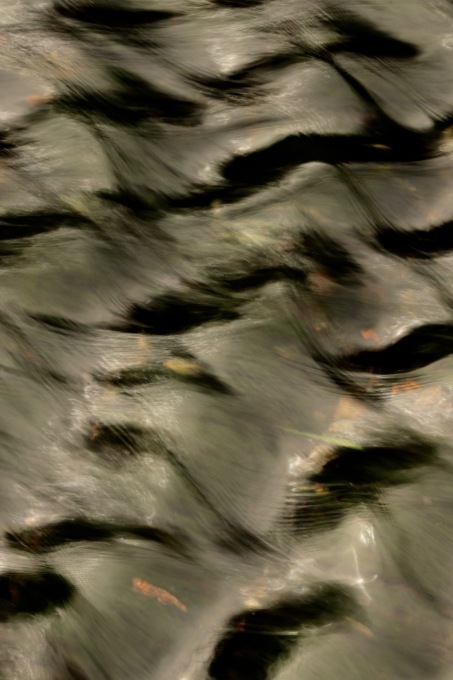a0248459_14282100.jpg