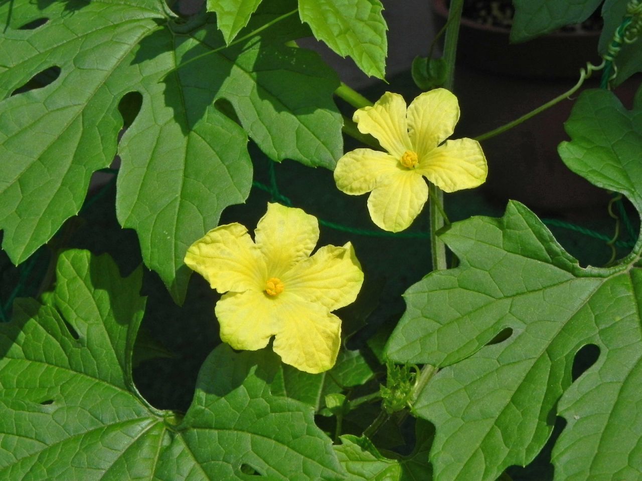a0248459_14300434.jpg